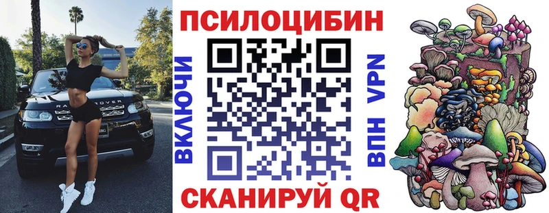 Купить где  Новоуральск  Галлюциногенные грибы Magic Shrooms 